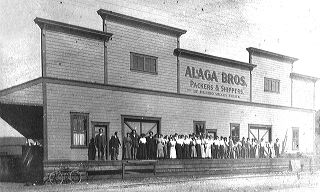 alaga-packing.jpg